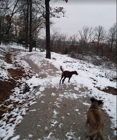 Centennial Park at Millsap Mountain