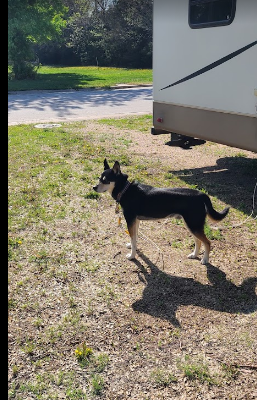Pioneer Village Campground