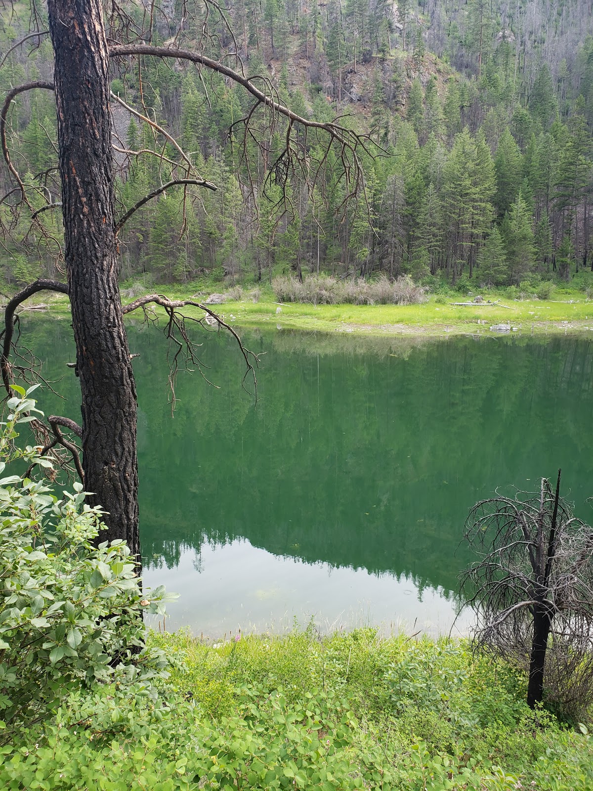 Sugarloaf Campground
