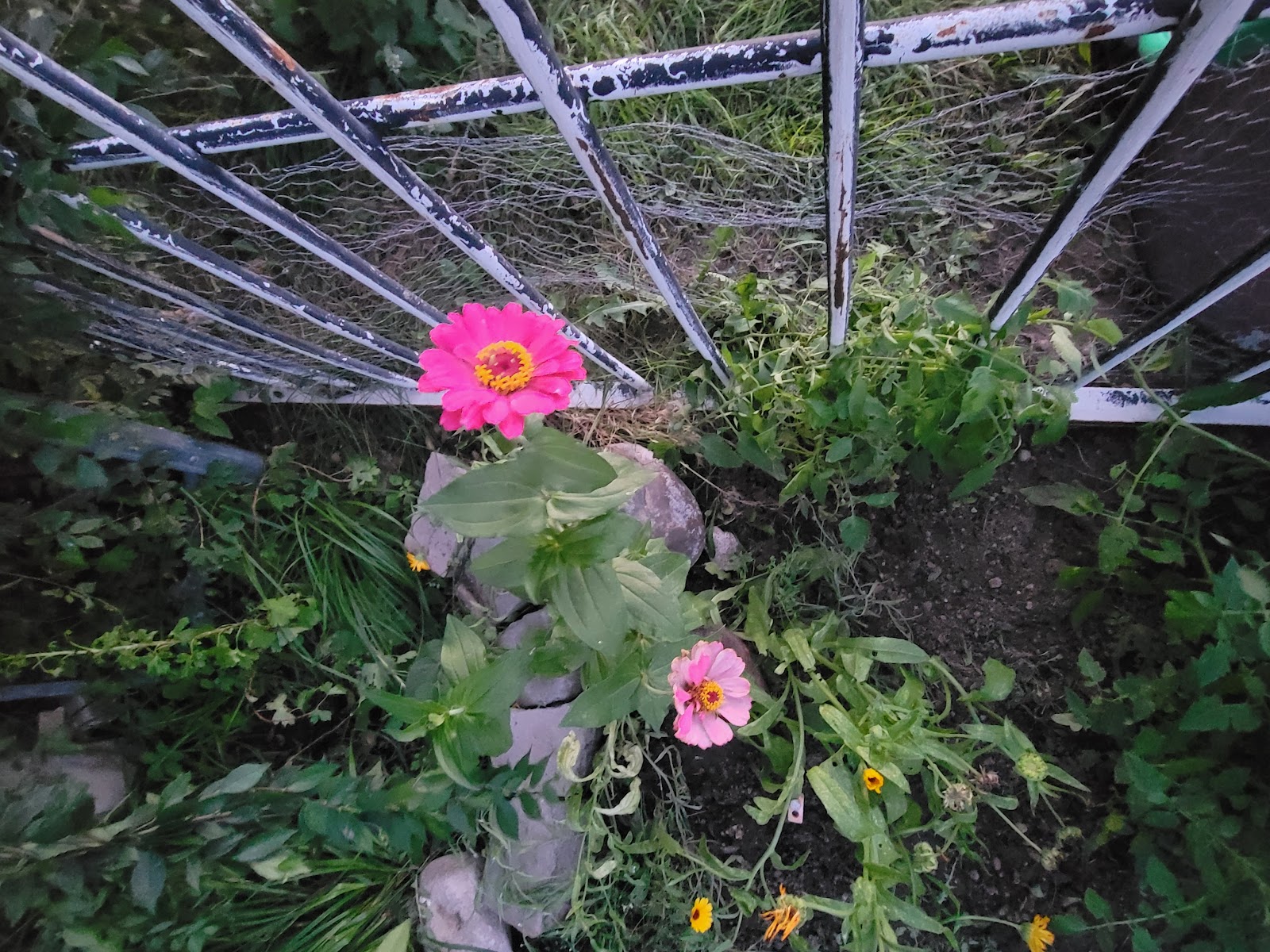 Conestoga Motel & RV Park