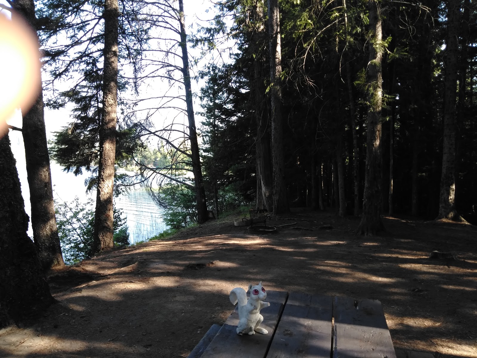 Dorr Skeels Campground