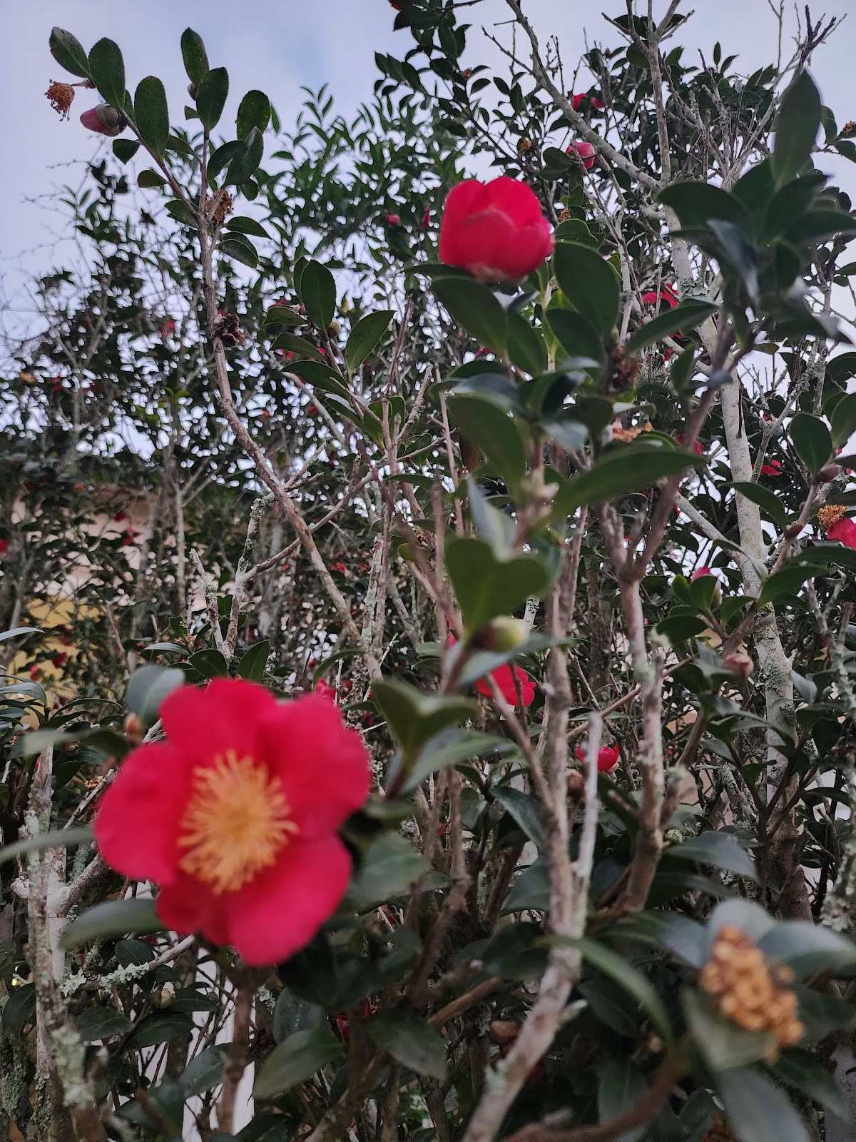 Hancock County Welcome Center