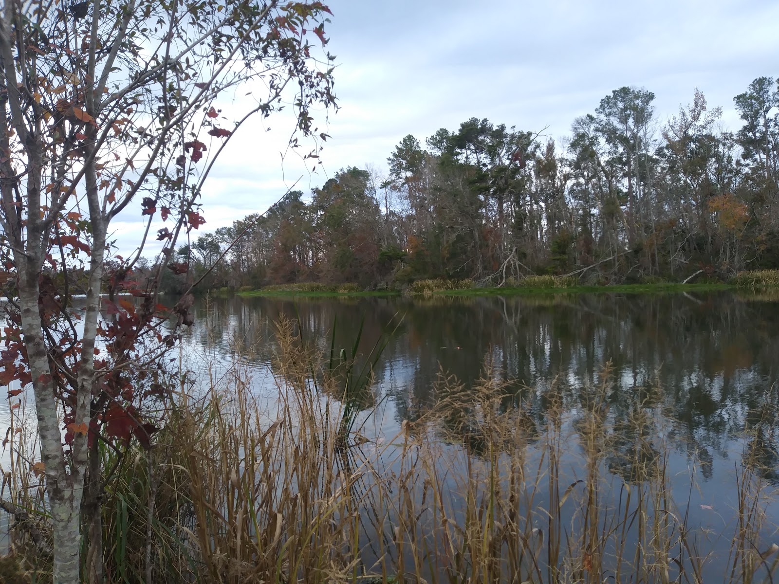 Faceville Landing Campground