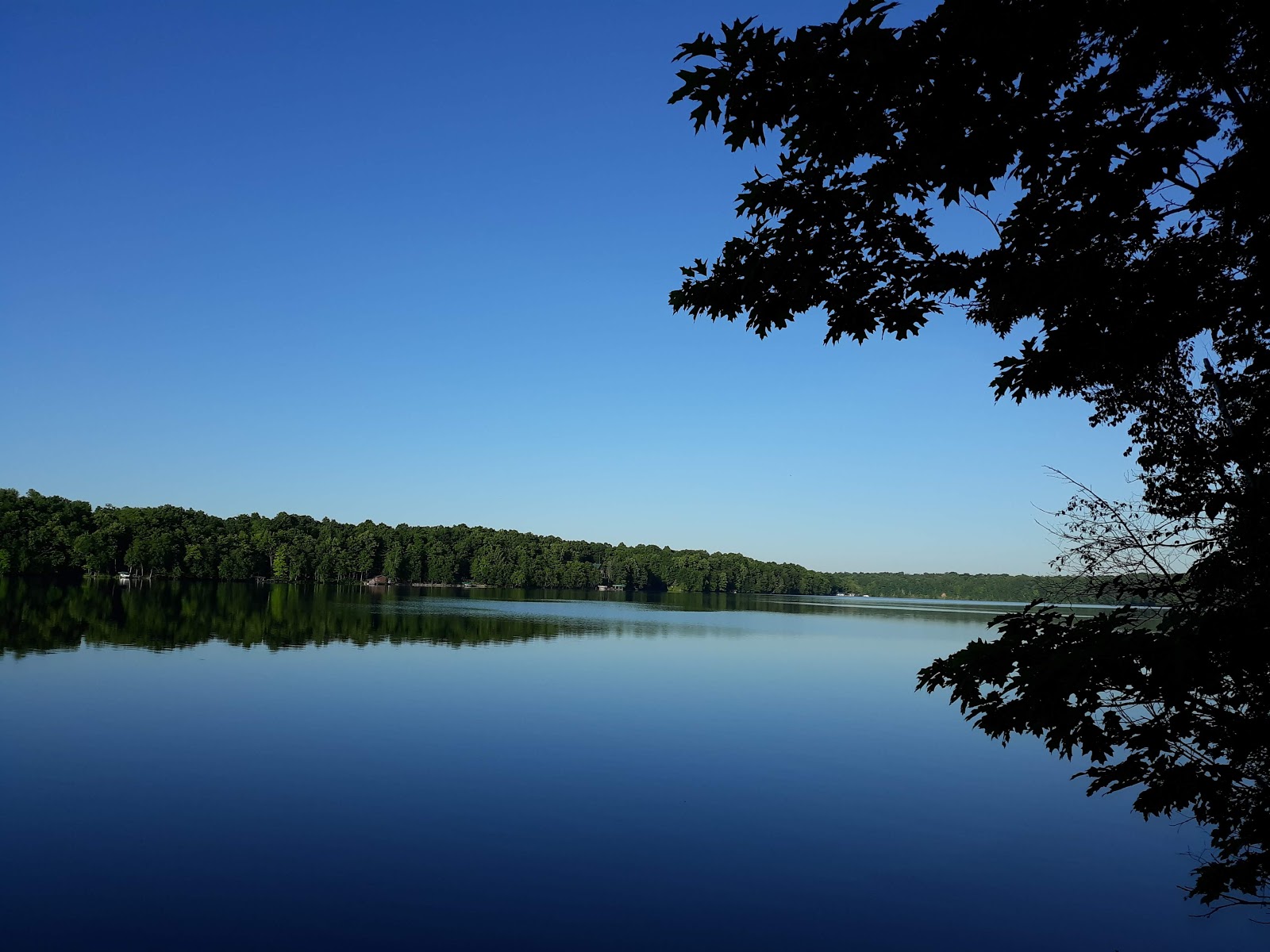 Traceys Resort Campground