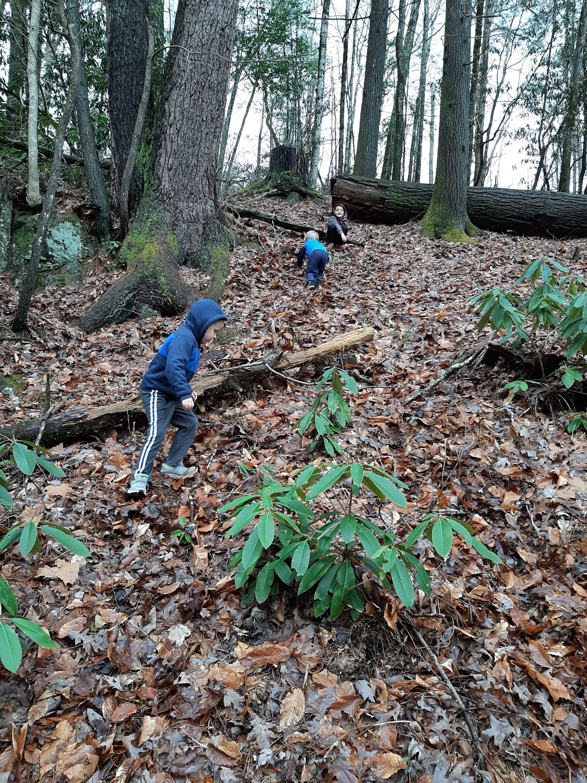 Dam Creek Walk-In Campground