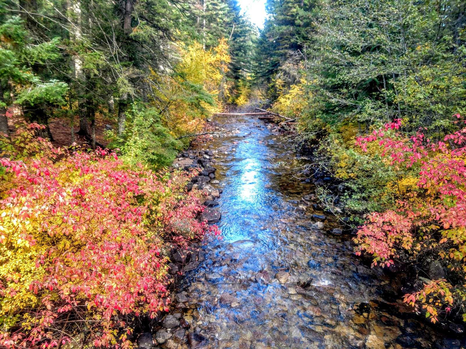 Blodgett Canyon Trailhead Campground