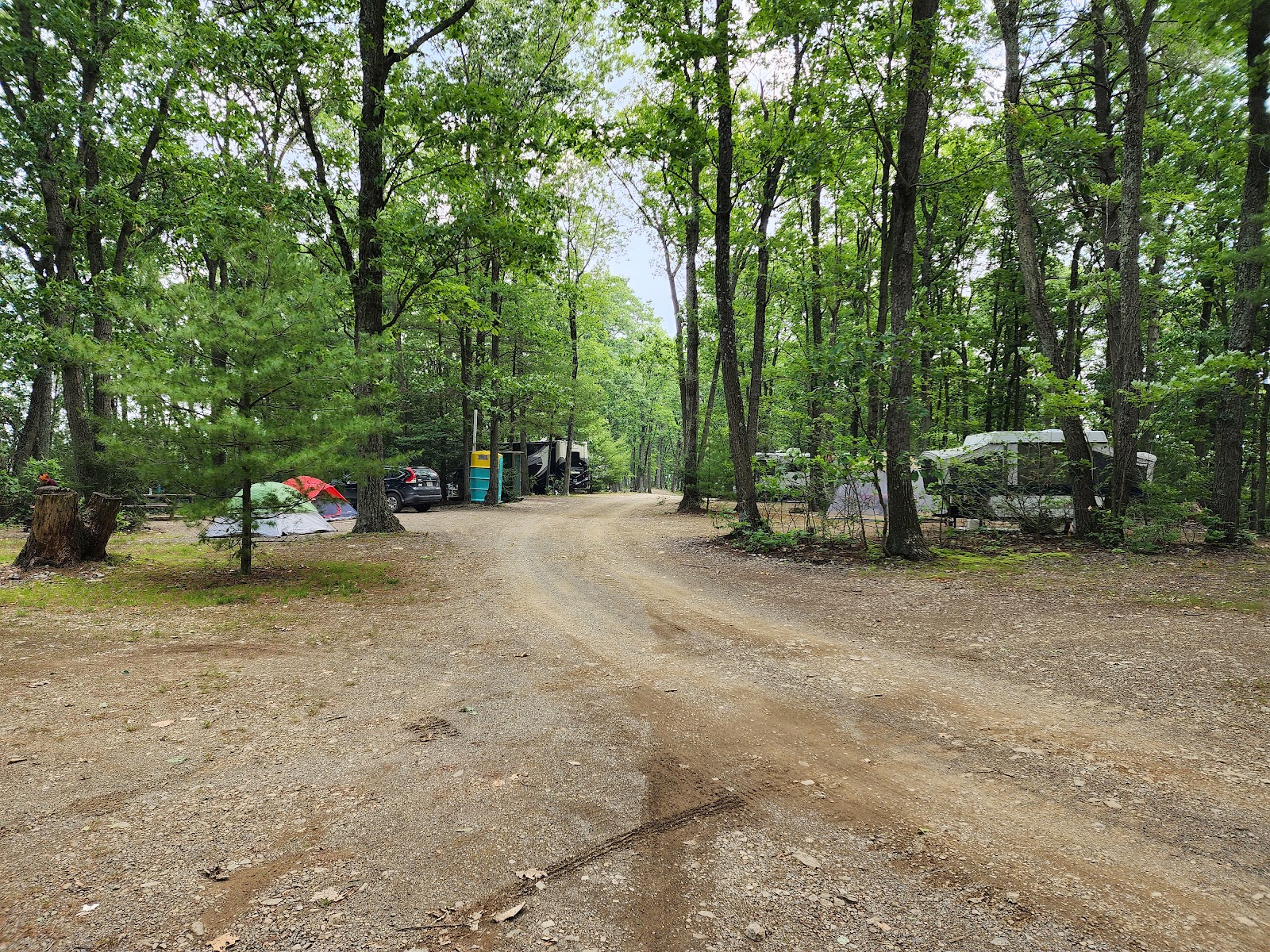 Mossy Point Campground