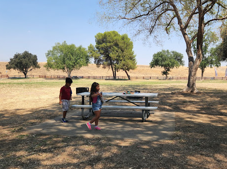 Kern River County Park