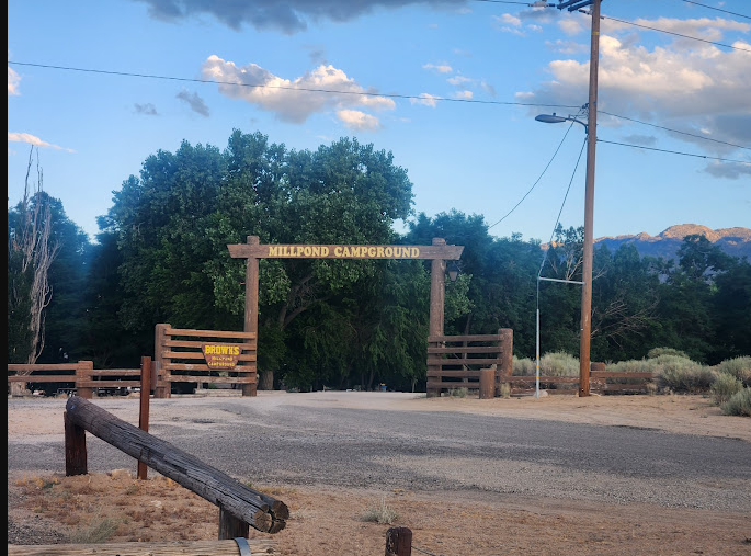 Brown's Millpond Campground