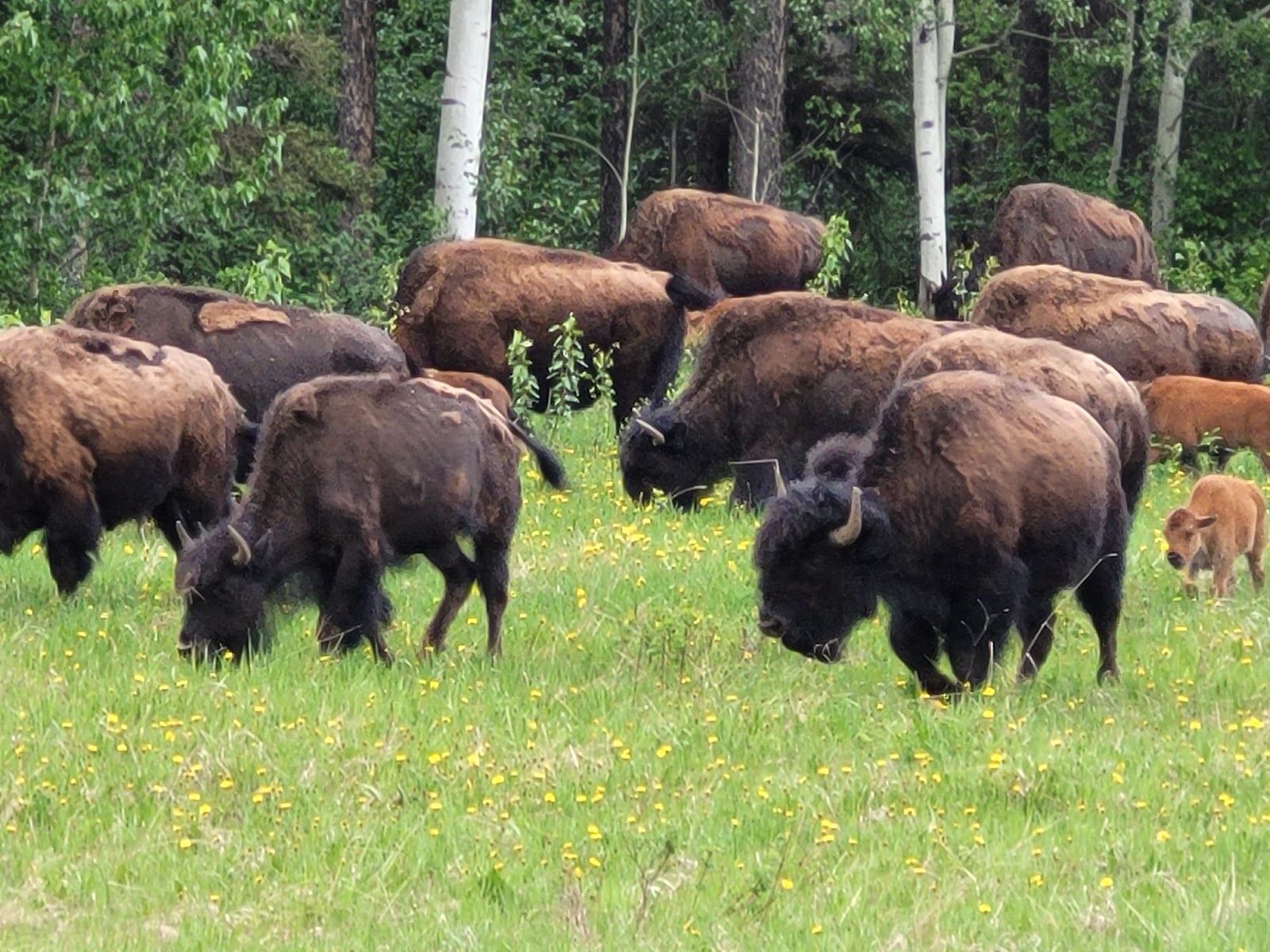 Rita's Campground & RV Park