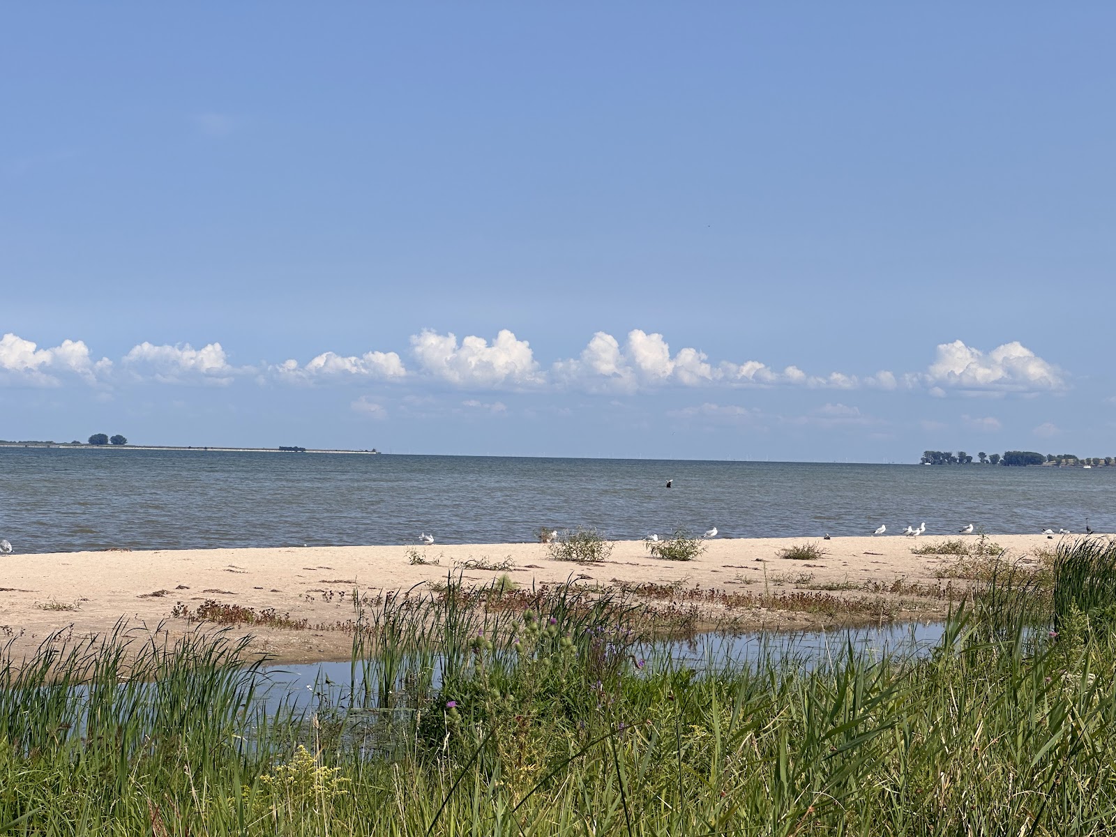 Bay City State Park