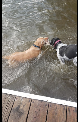 Daly Park & Campground