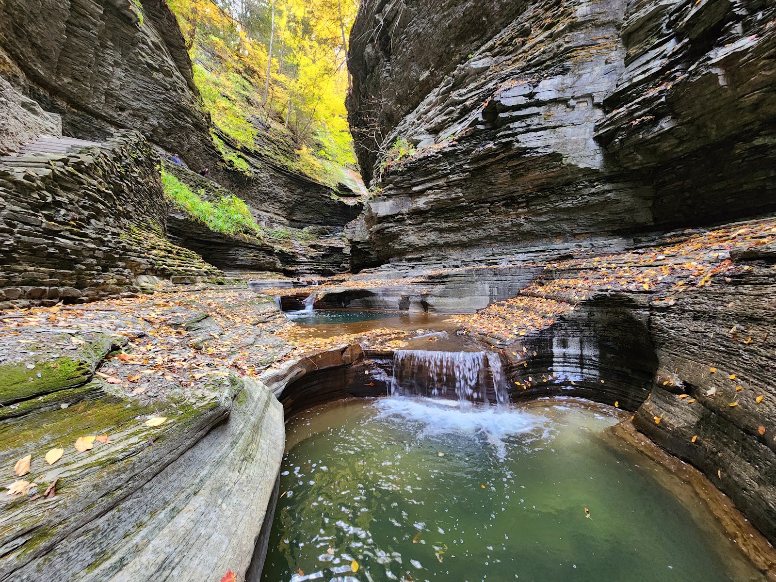 Watkins Glen State Park
