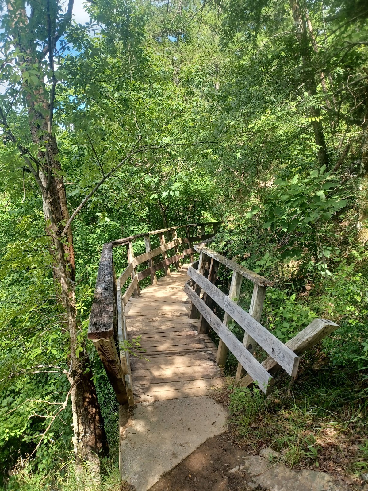 Talladega National Forest