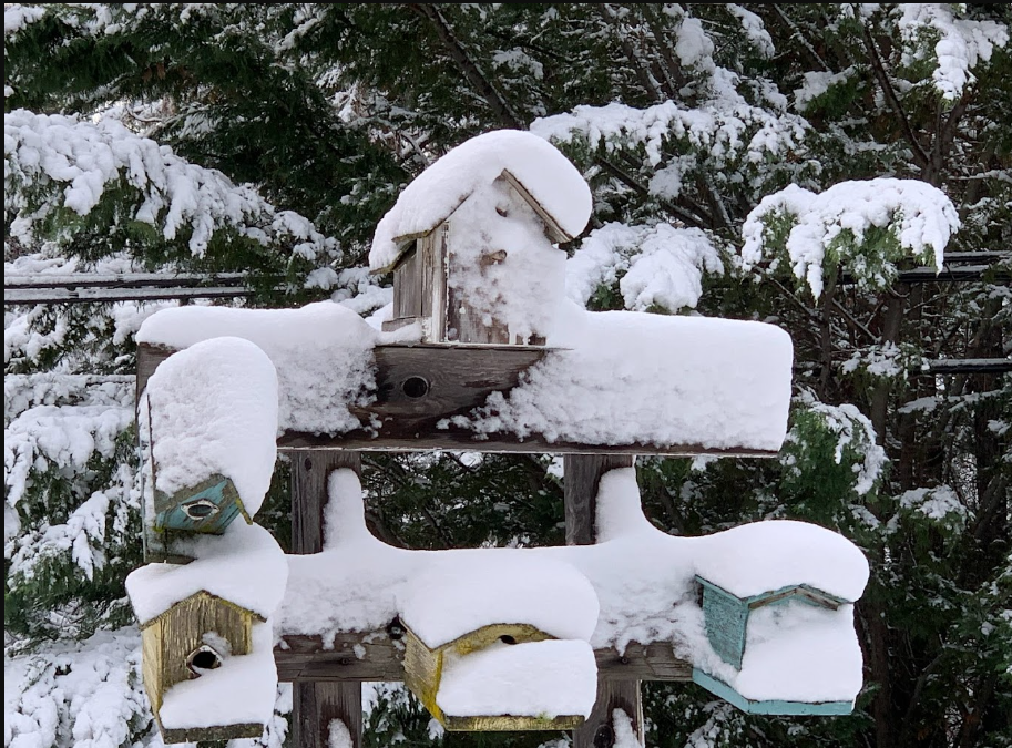 Trailer Lane RV Park