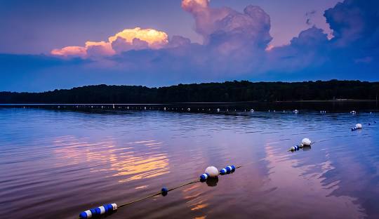 Gifford Pinchot State Park