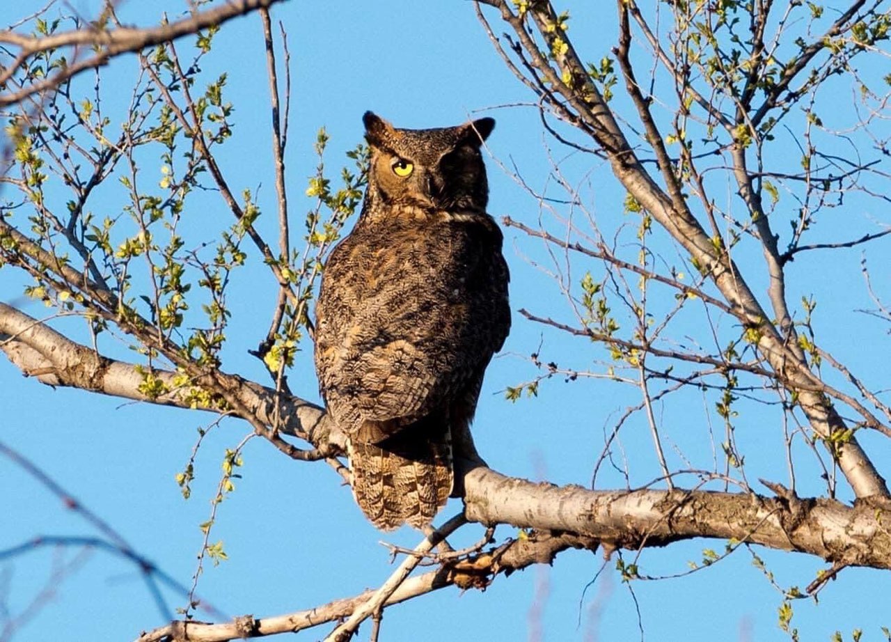 Sunset Meadows RV Park