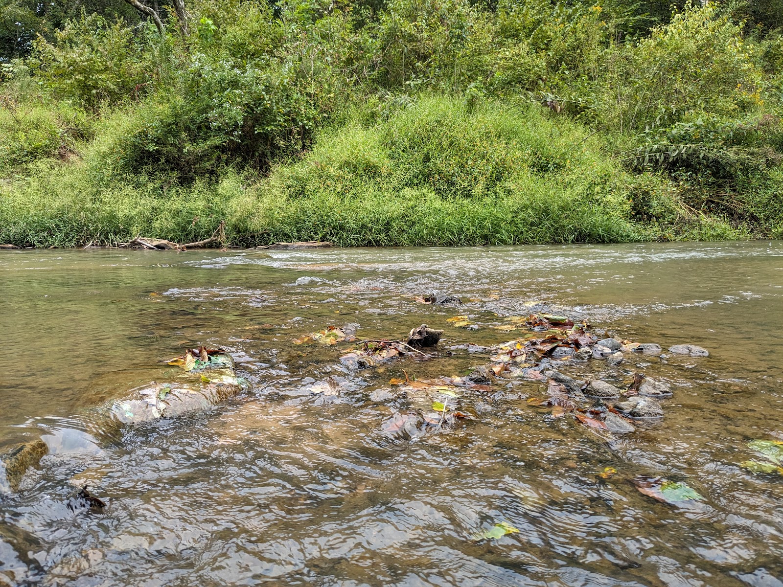 Hiddenite Family Campground