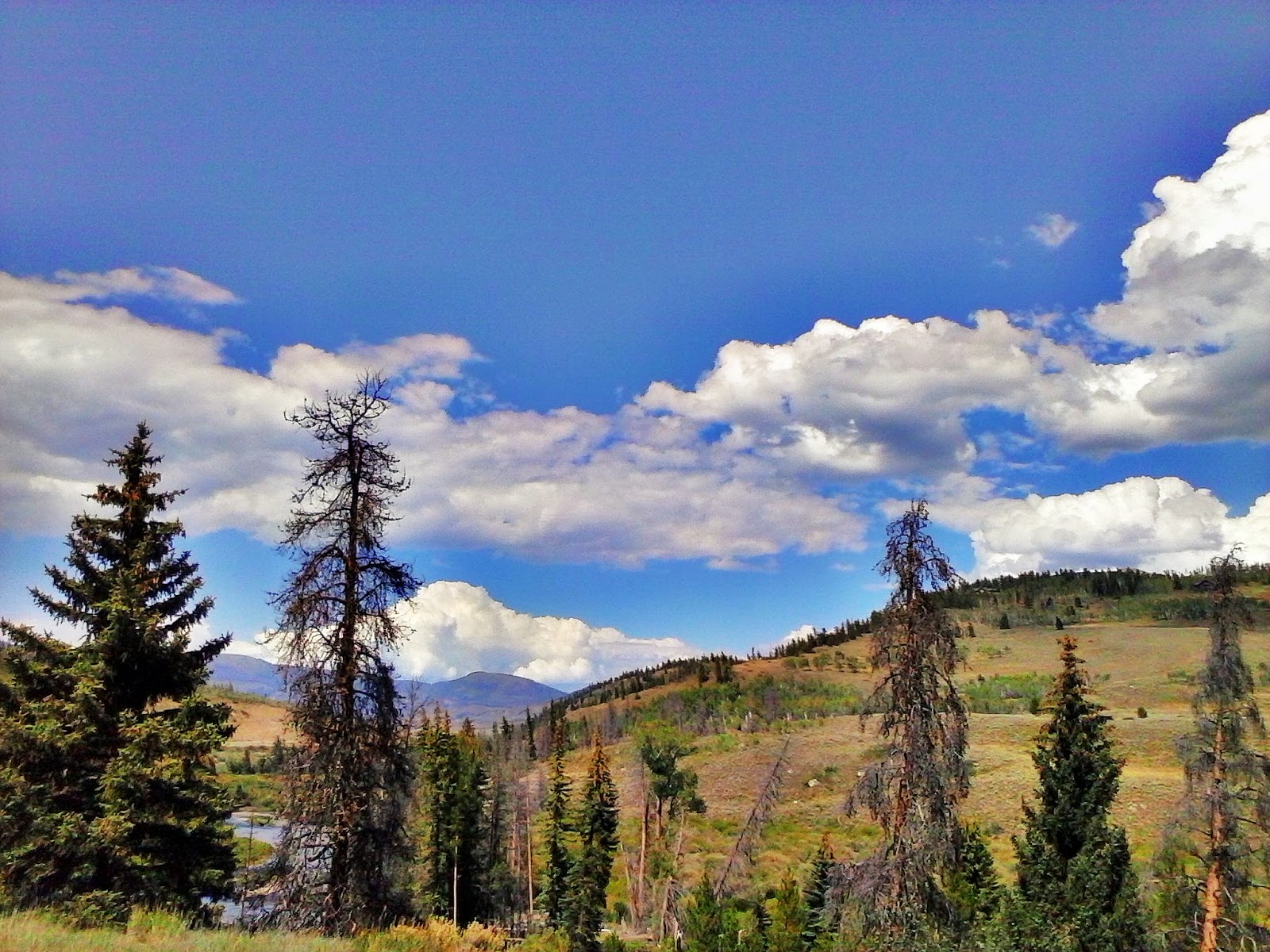 Blue River Campground