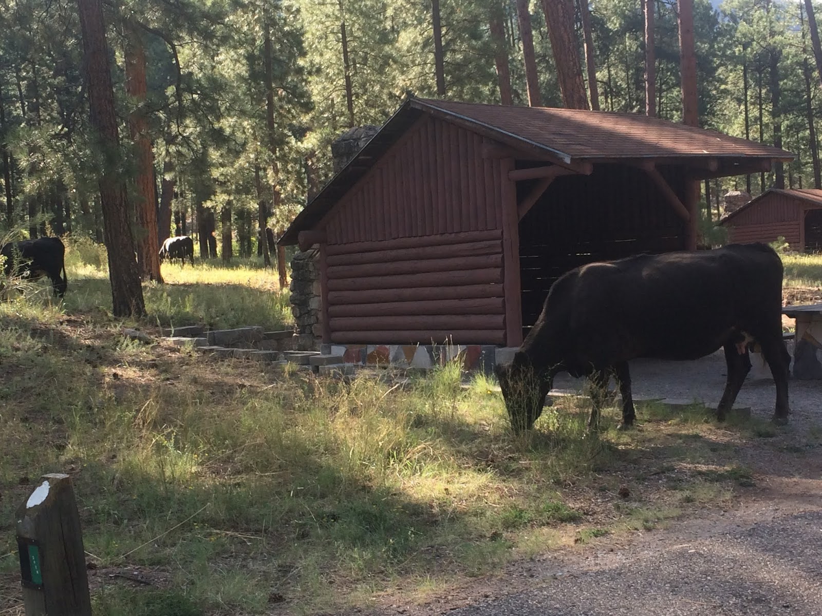 Paliza Family Campground