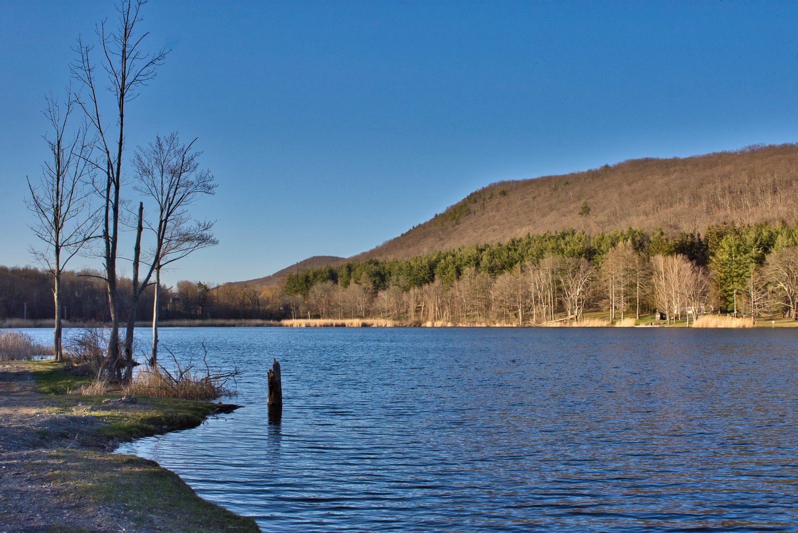 Taconic State Park-Rudd Pond