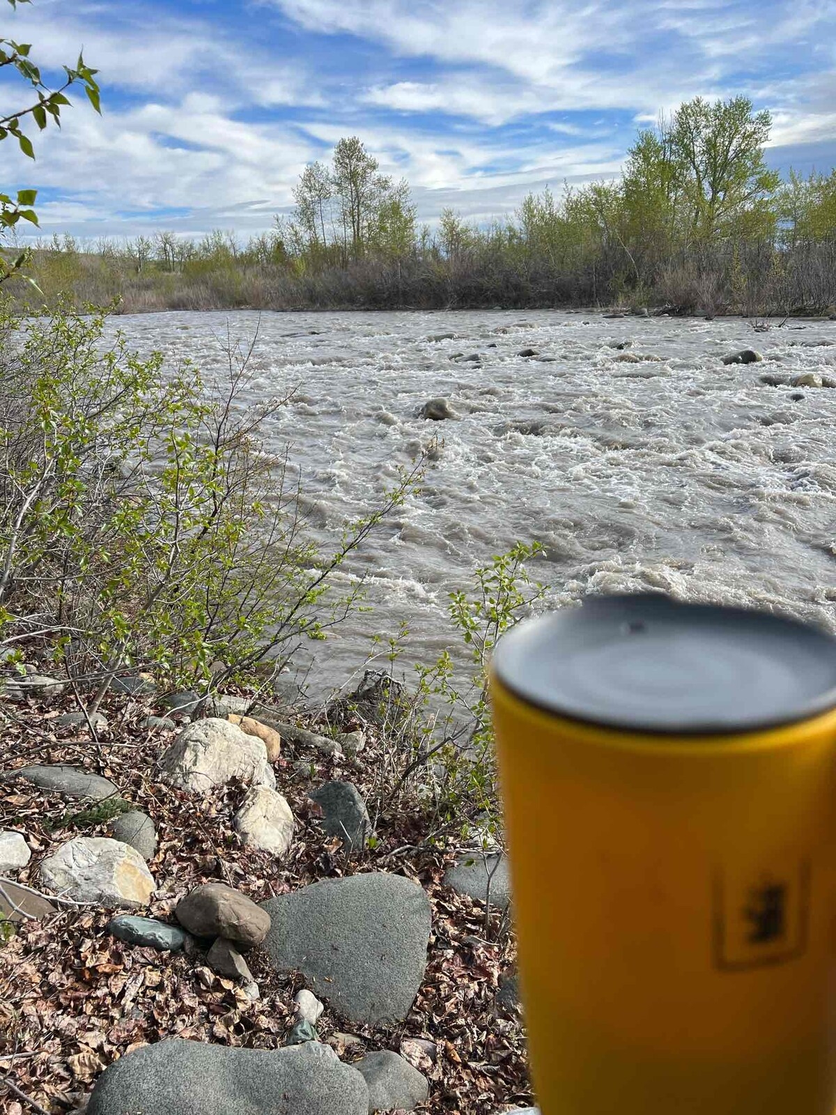 Glacier Elkhorn Cabins & Campground