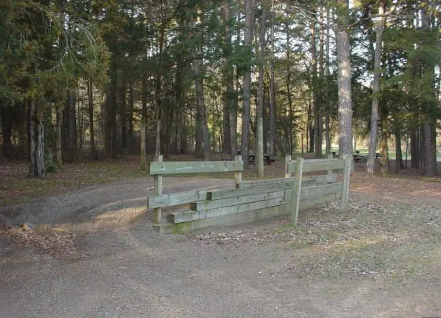 Sorghum Hollow Horse Camp