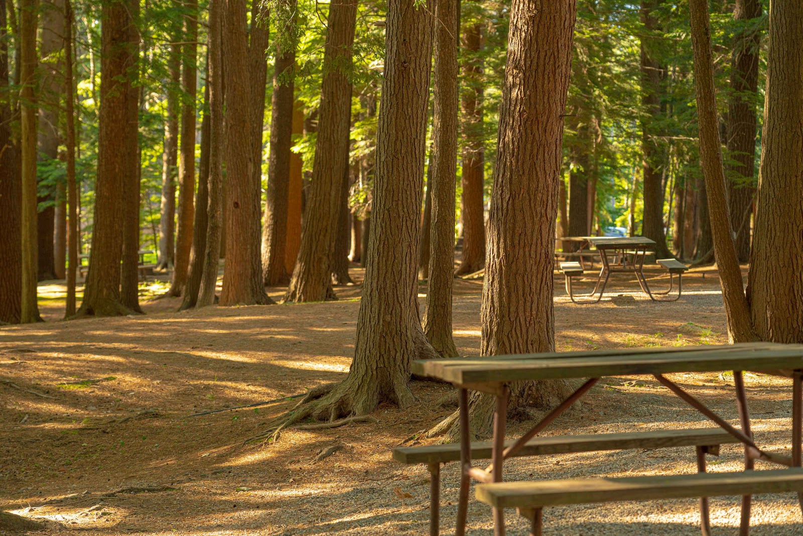 Saco / Old Orchard Beach KOA