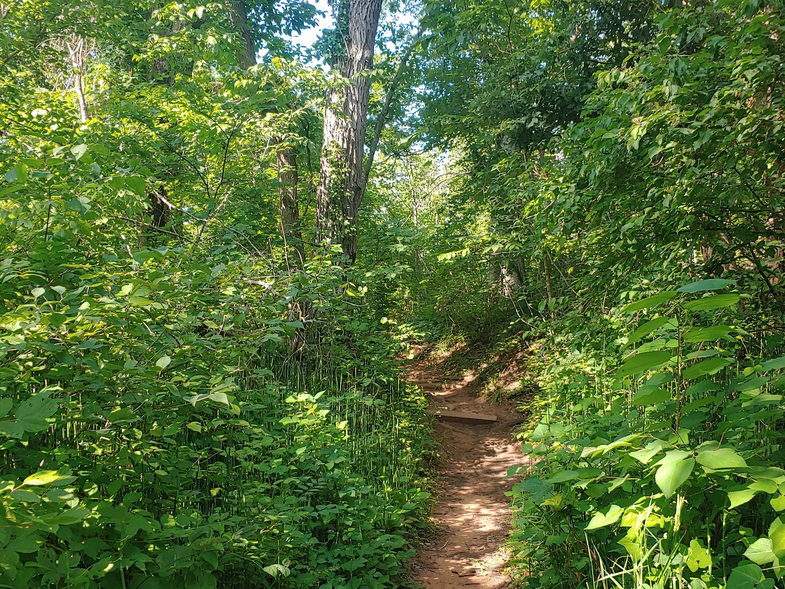 Red Rock Canyon State Park