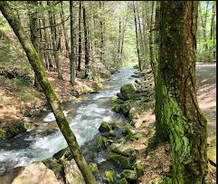 Jim Thorpe Camping Resort