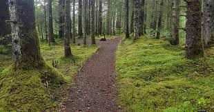 Bartlett Cove Campground