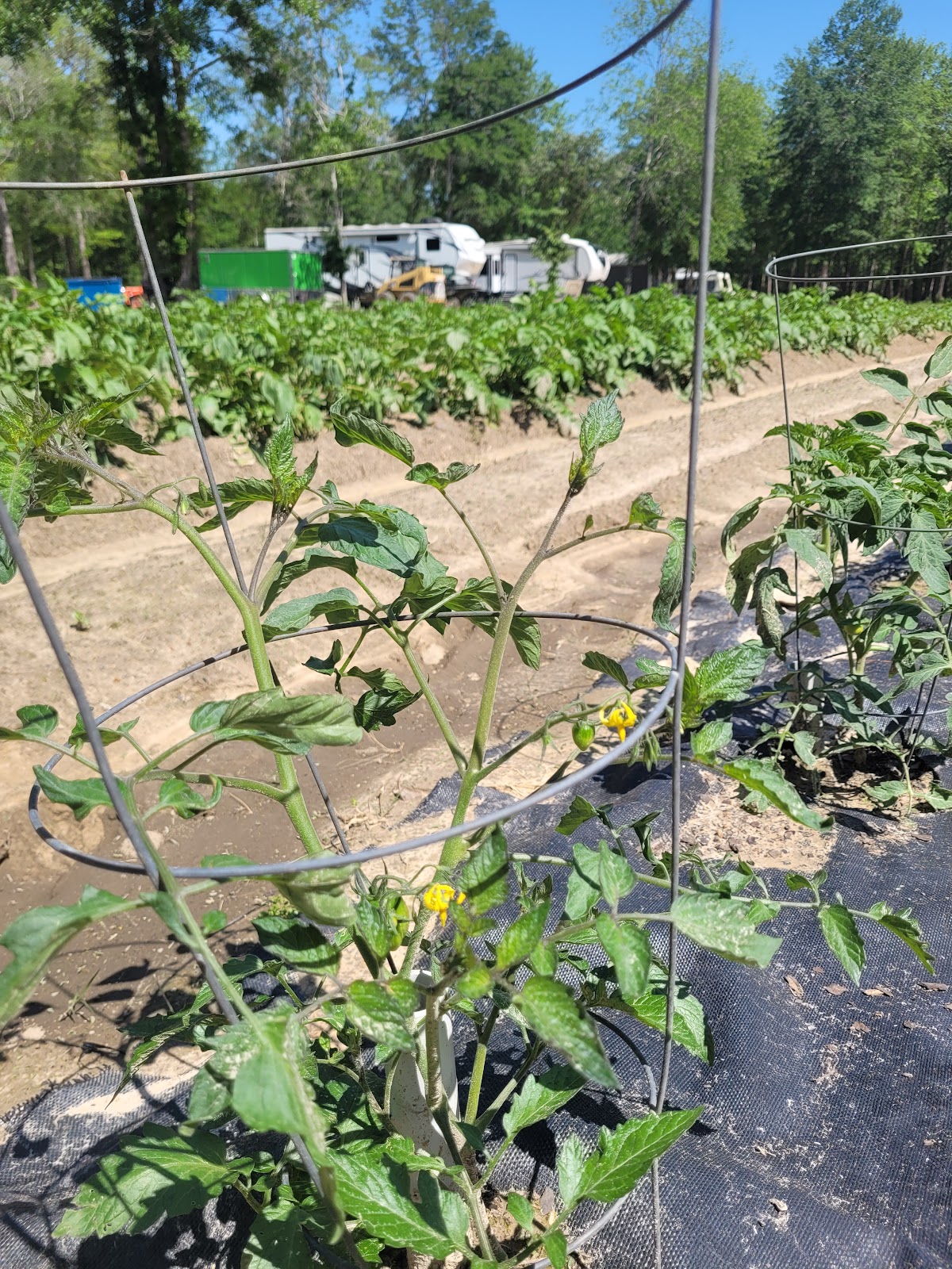 Big Thicket Hideaway Campground