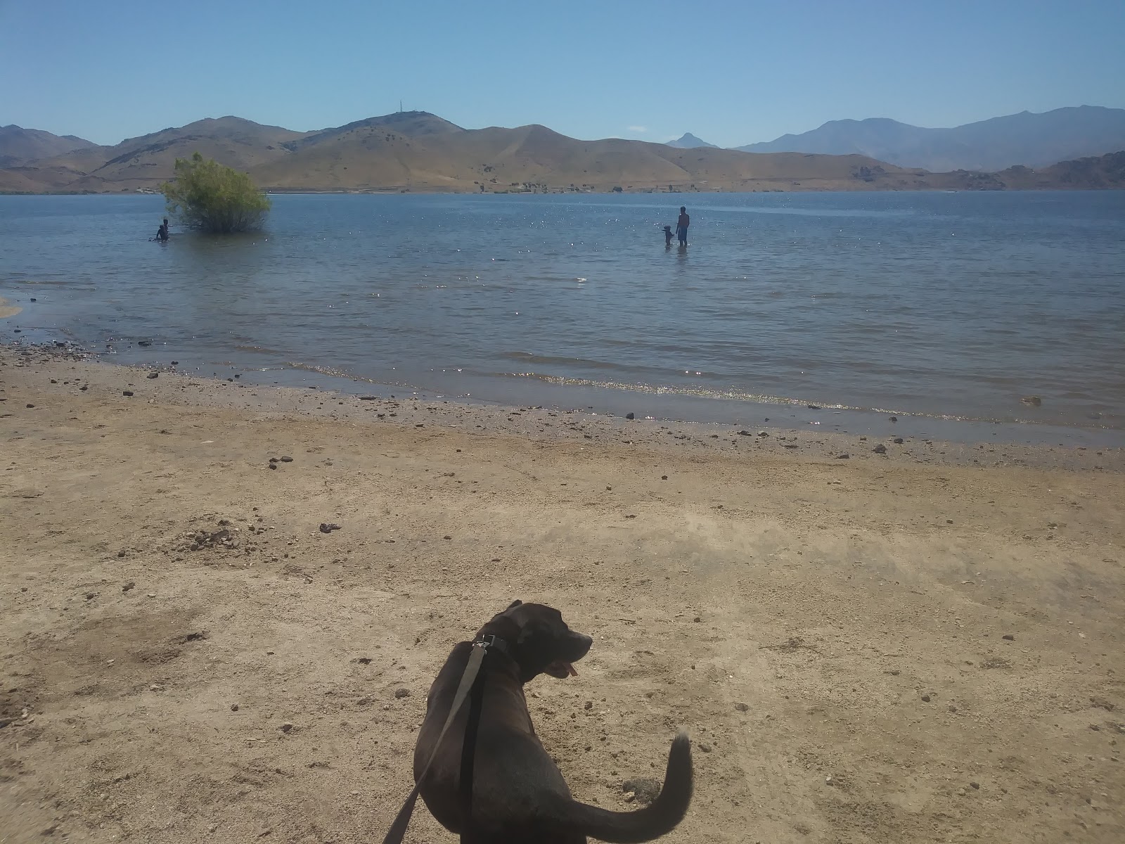 Tillie Creek Campground