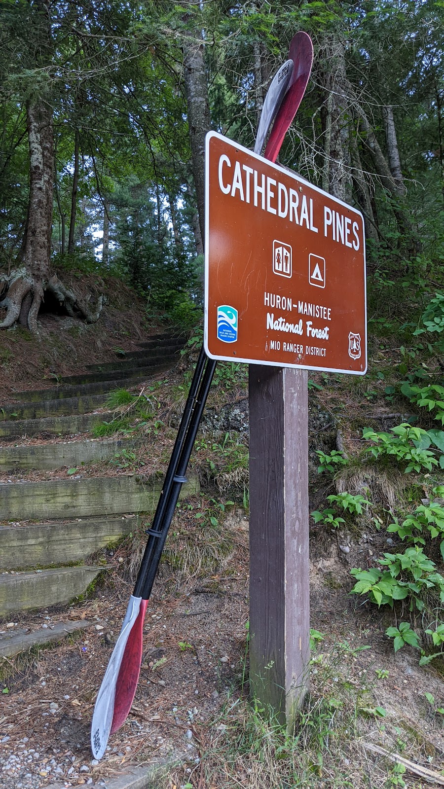 Cathedral Pines Campground