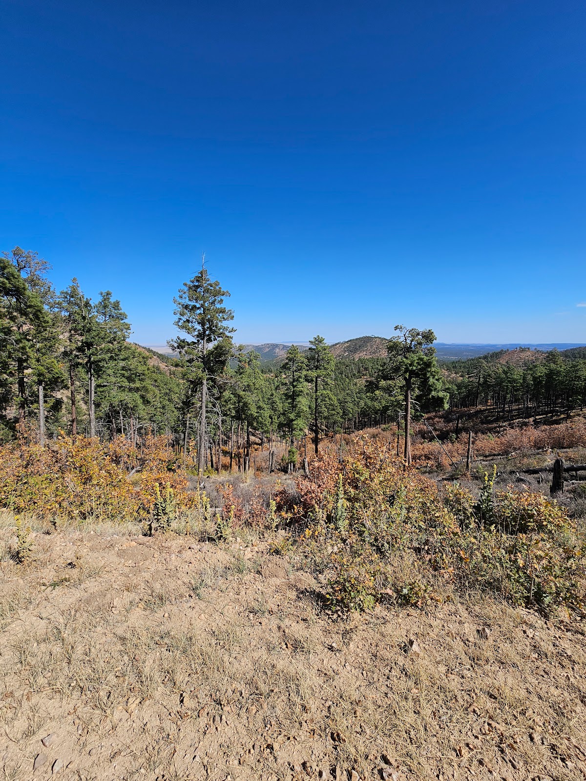 Red Cloud Campground