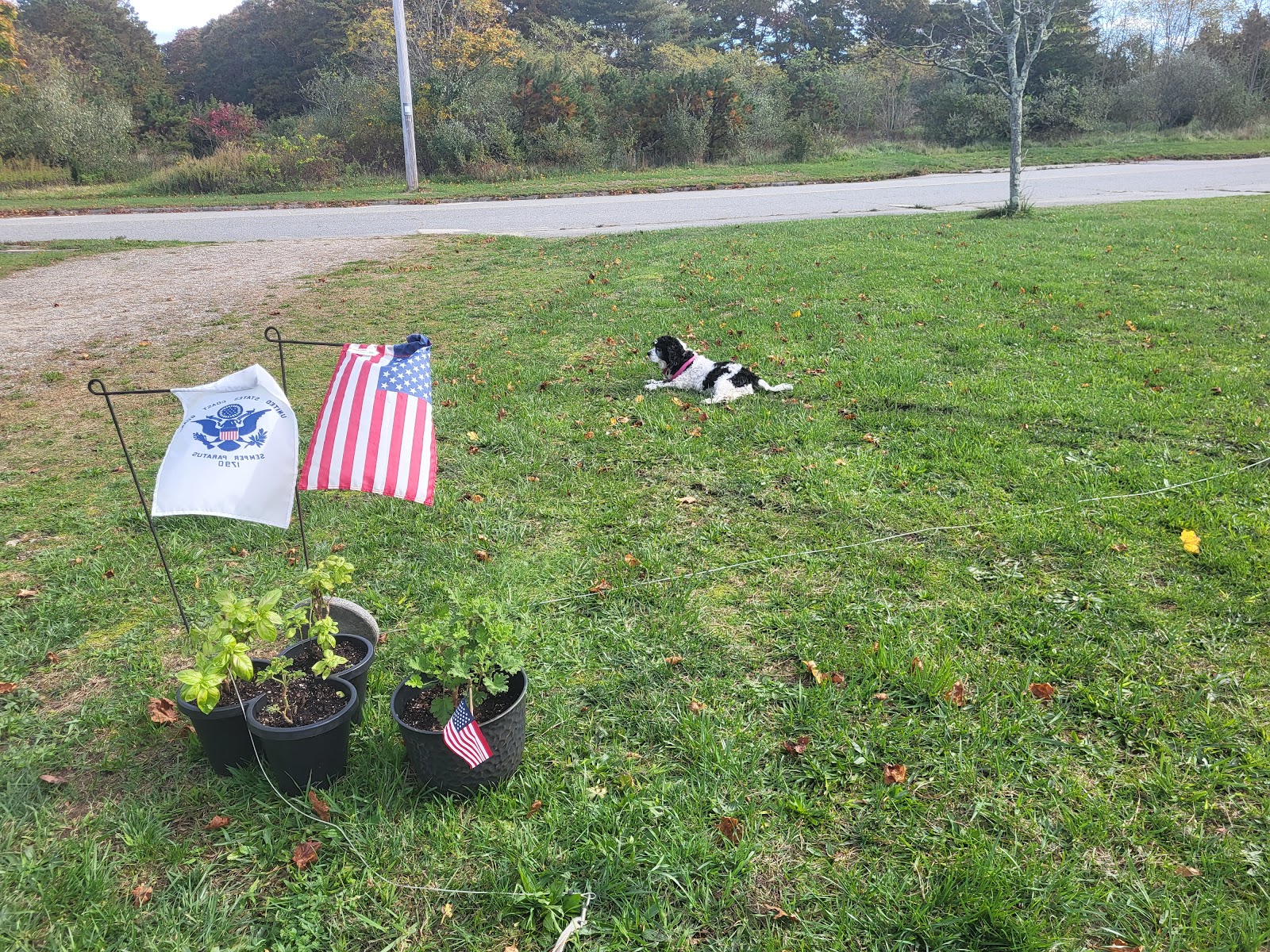 USCG Cape Cod MWR RV Park
