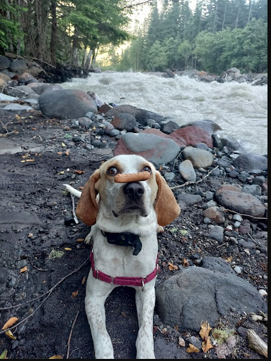 Boulder Creek Campground