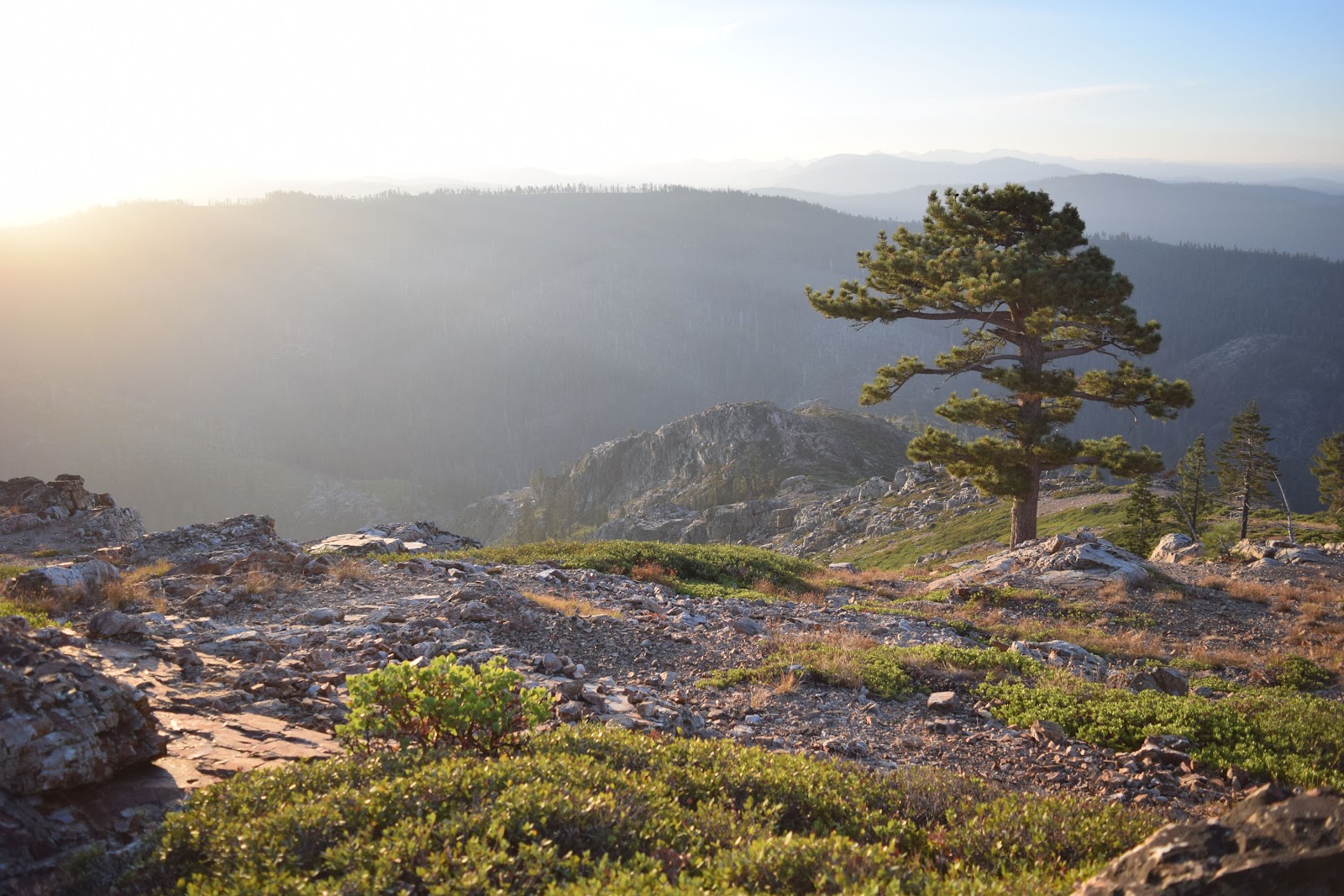 Robinson Flat Campground
