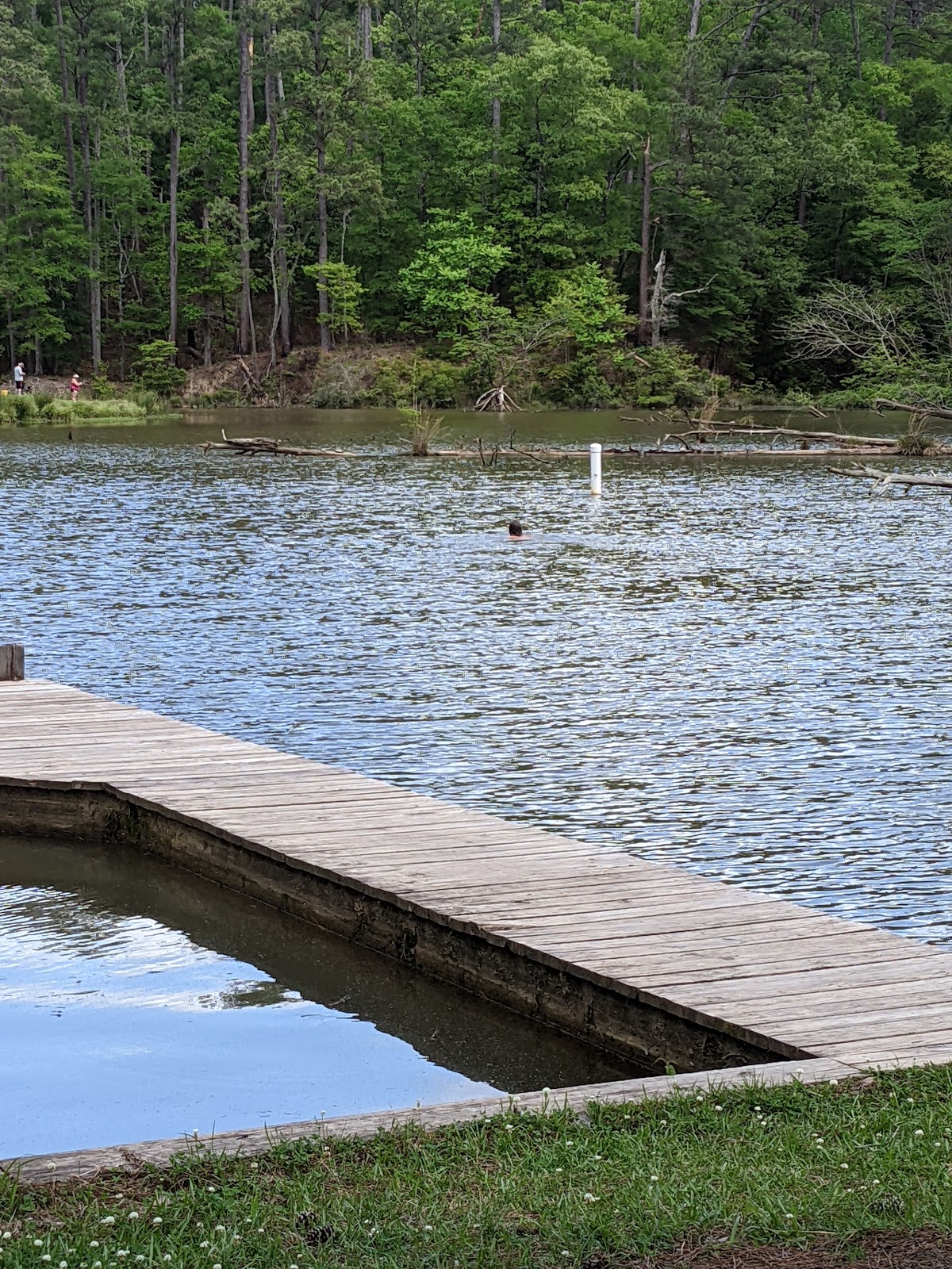Clear Springs Lake Rec Area NF Campground