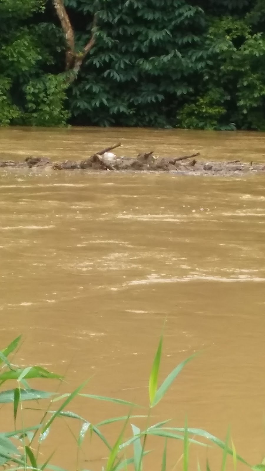 Mt. Morris Campground