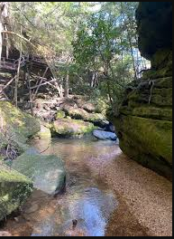 Dismals Canyon Cabins and Primitive Campsites