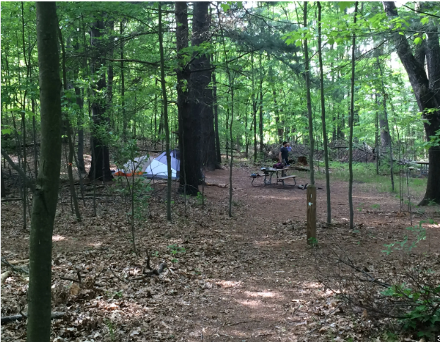 Bruin Lake - Pinckney SRA