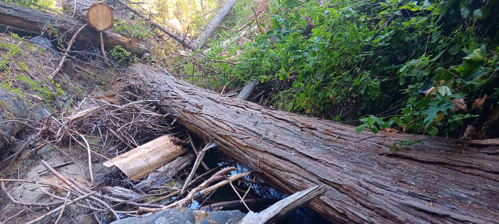 East Weaver Campground