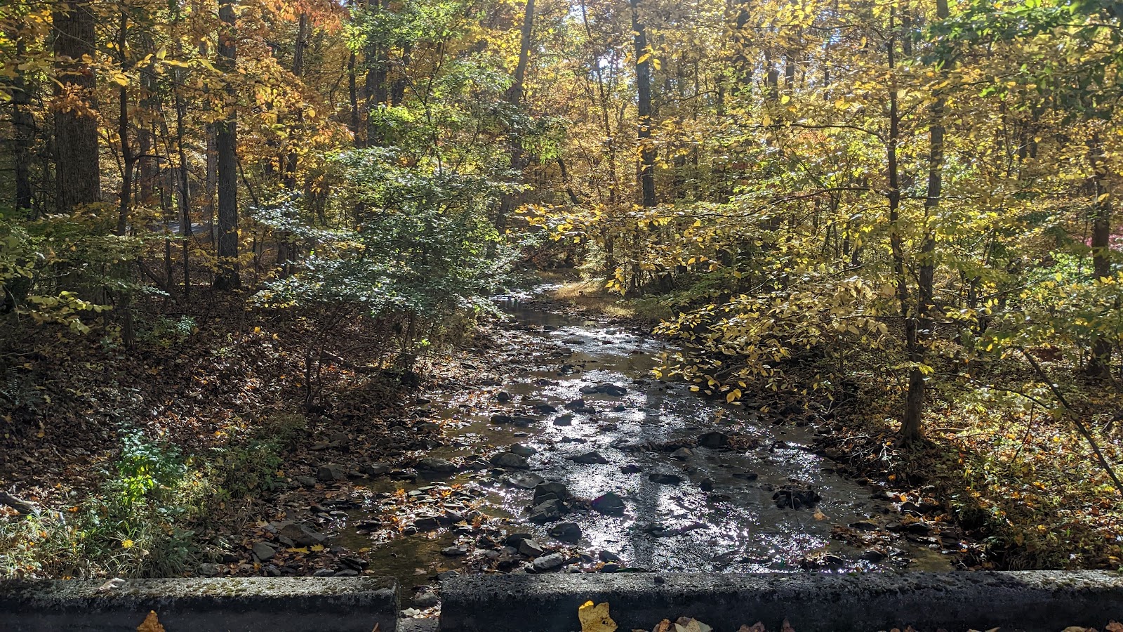 Sherando Lake Recreation Area
