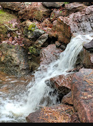 Cherokee Lakes RV Park