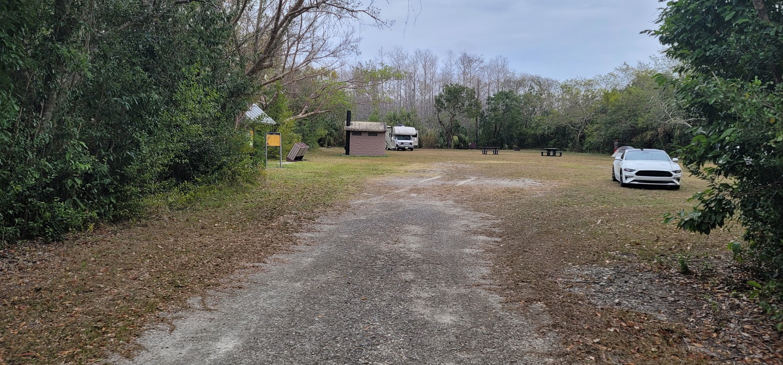 Pinecrest Group Campground - Big Cypress National