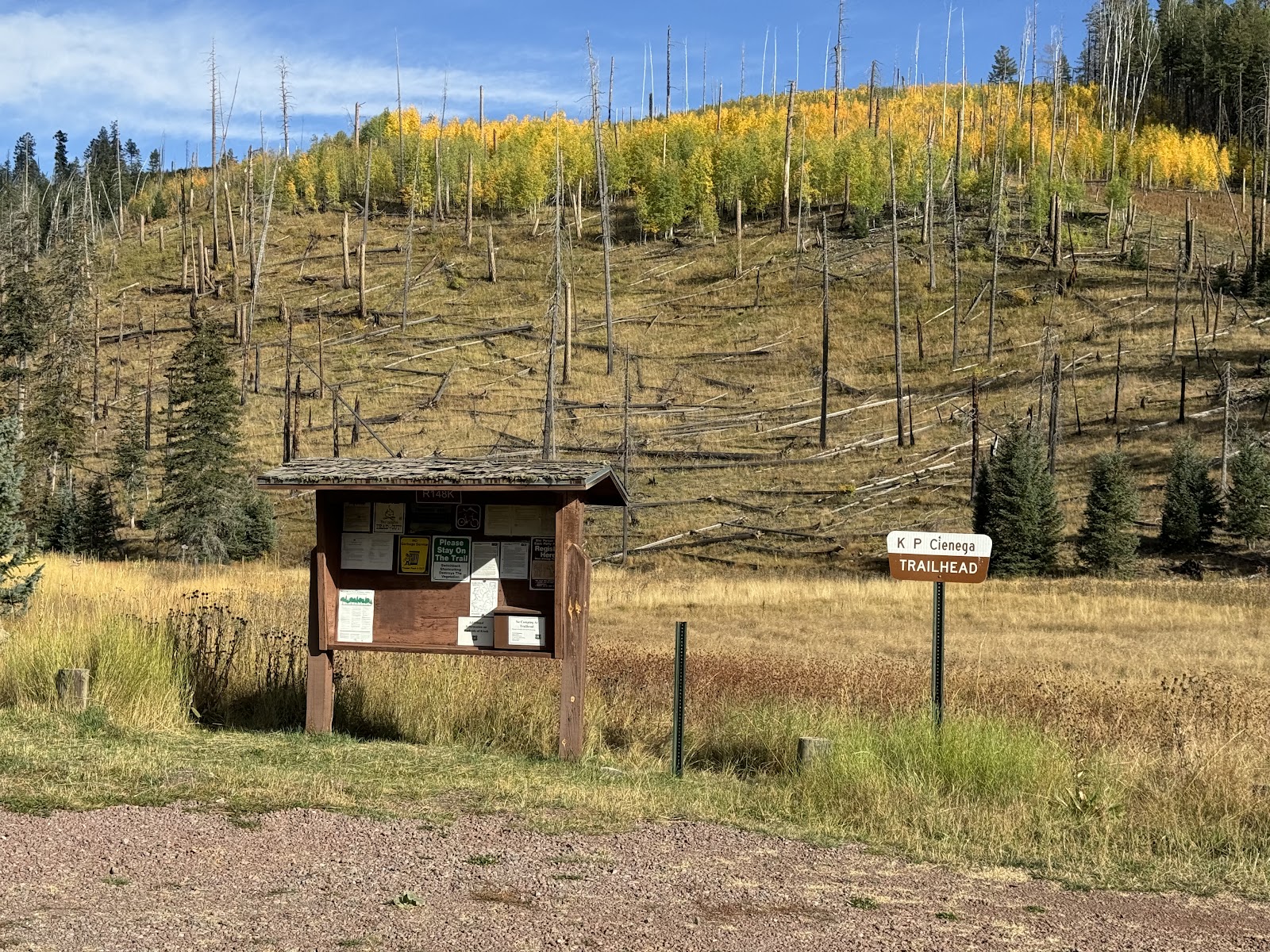 KP Cienega Campground