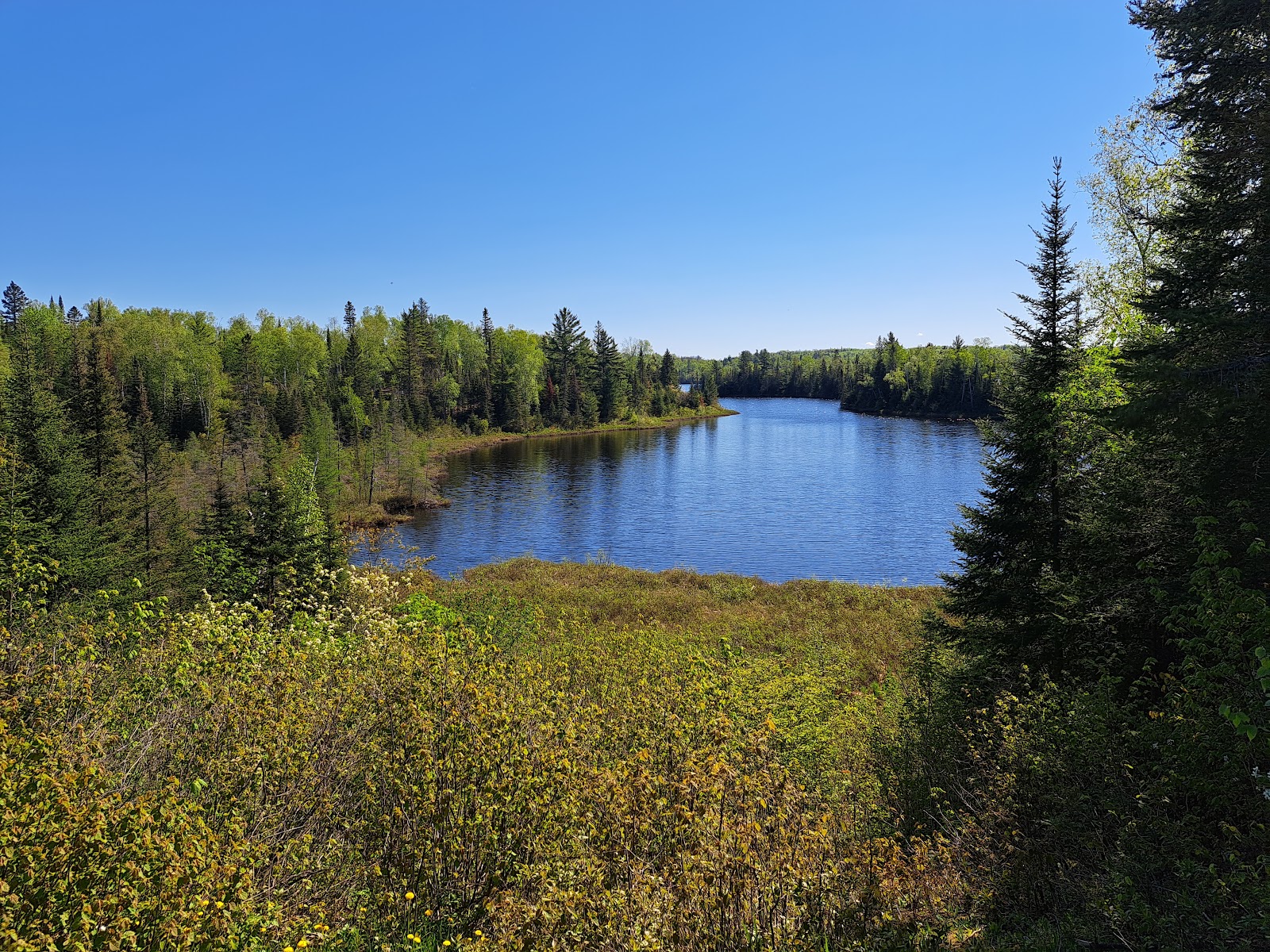 Harriet Lake Rustic Campground