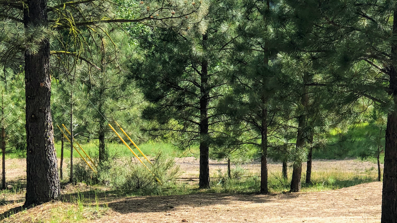 Shady Meadows Campground