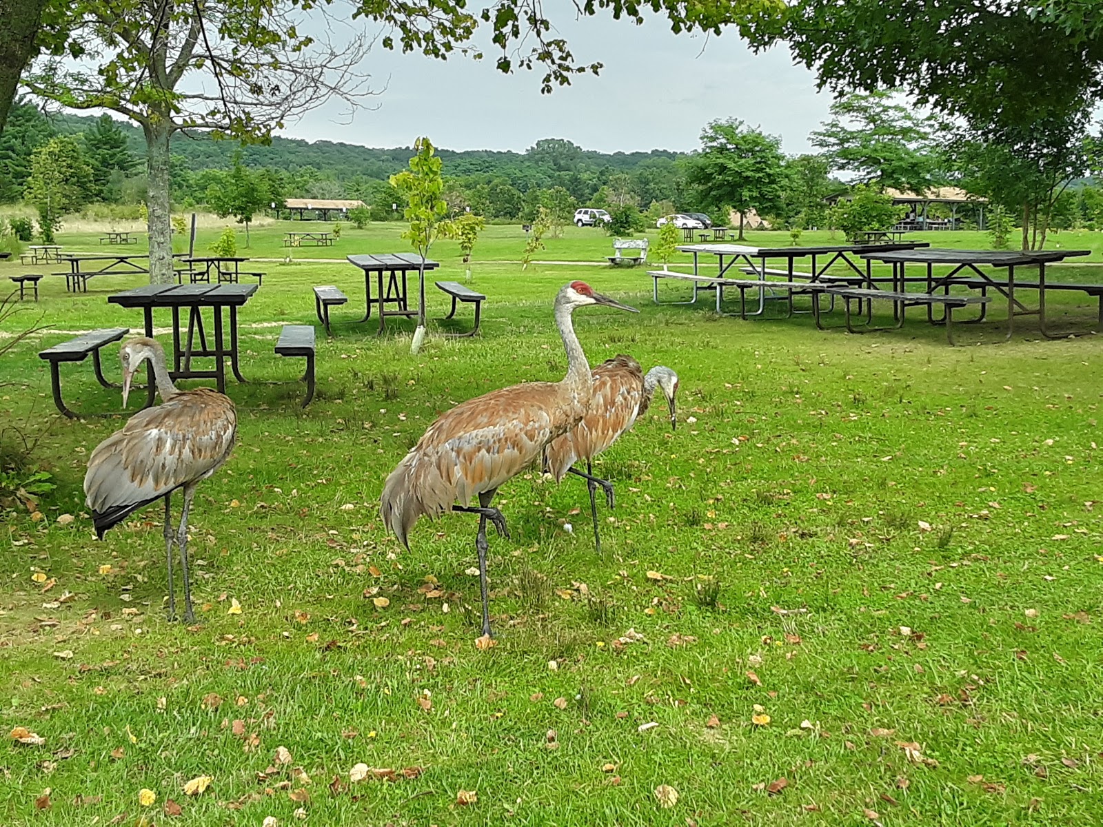 Ottawa Lake Campground Visitor Center